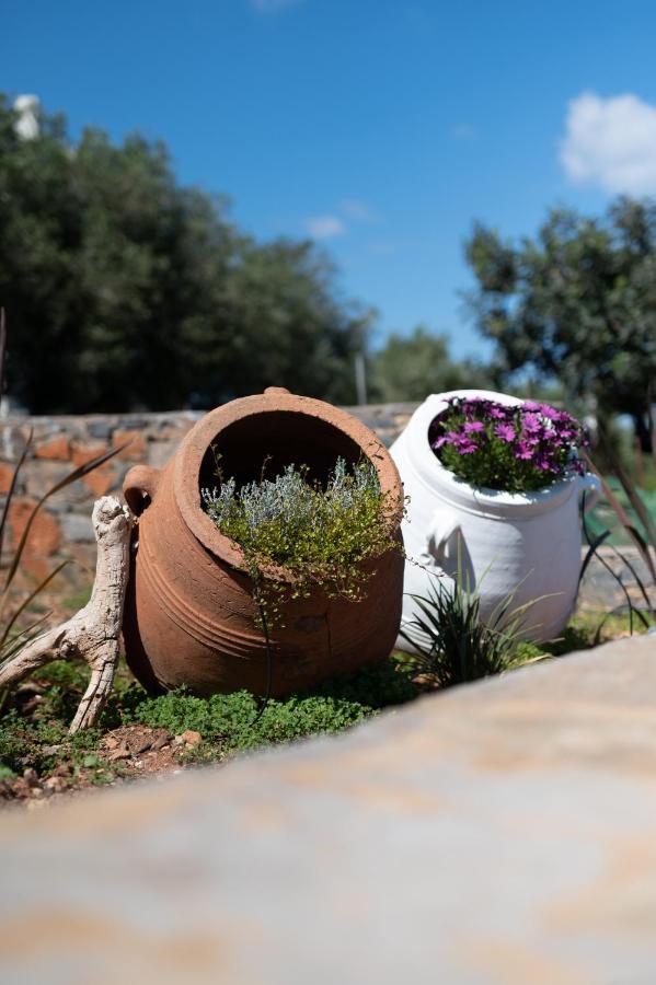 Elounda Dream House Vila Exterior foto